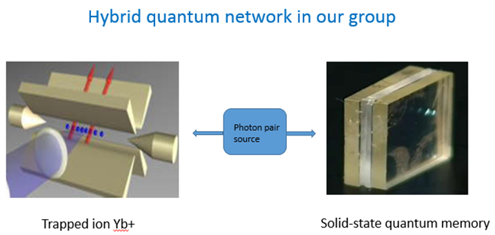 Hybrid Quantum network